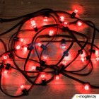   Neon-Night LED Galaxy Bulb String 331-322 (10, )