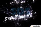  Neon-night  LED [315-175]