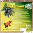    Lucky Reptile Coco Background / CBG-50