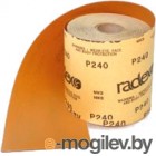  Radex 100 RAD552100 (11550)