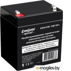    ExeGate Special EXS1250 (12/5 ) [ES255175RUS]