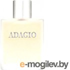   Dilis Parfum Adagio (100)