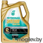   Petronas Syntium 5000 DM 5W30 / 19985019 (5)