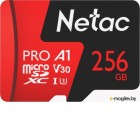   Netac P500 Extreme Pro 256GB NT02P500PRO-256G-S