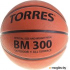   Torres BM300 / B02016 ( 6)