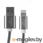 WIIIX USB - Lightning 1m Silver CB520-U8-10S