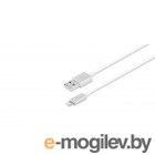  USB (m)-Lightning (m) 1 