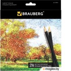    Brauberg Artist Line / 180565 (24)