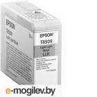  Epson C13T850900