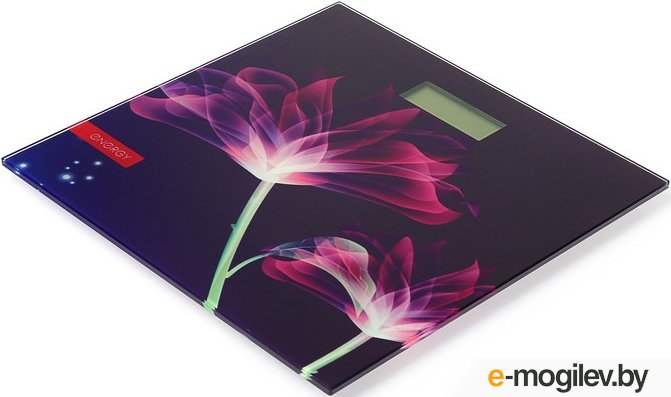 ��������� ���� Energy EN-419G