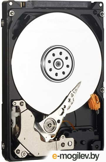 ������� ���� WD Scorpio Blue 750 �� (WD7500BPVT)