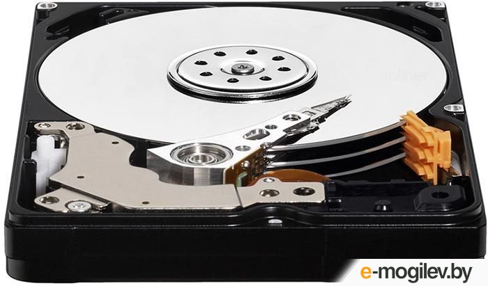 ������� ���� WD Scorpio Blue 750 �� (WD7500BPVT)