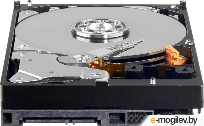 ������� ���� Western Digital Caviar Green 2TB (WD20EARX)