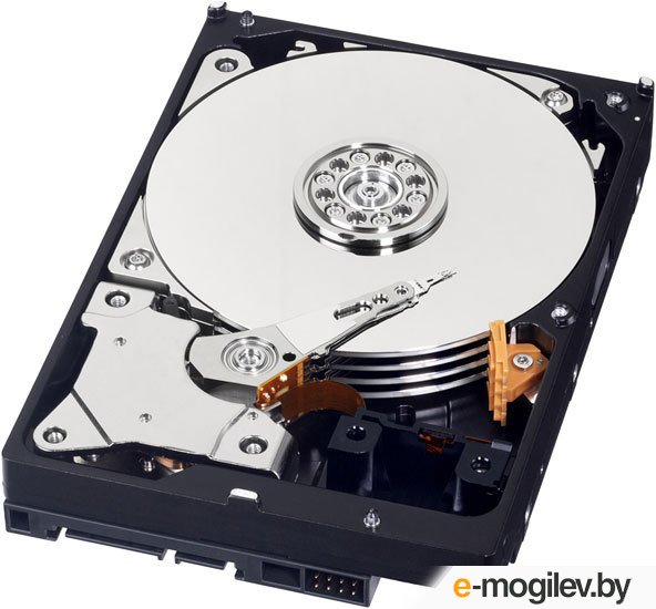 ������� ���� Western Digital Caviar Blue 500 Gb (WD5000AAKX)
