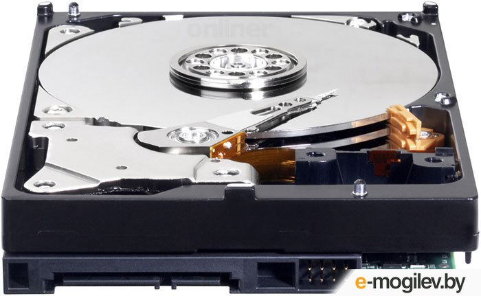 ������� ���� Western Digital Caviar Blue 500 Gb (WD5000AAKX)