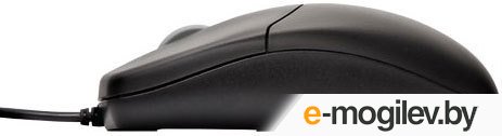���� Trust Optical Mouse (������)