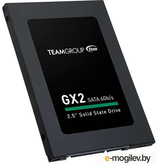 SSD ���� Team GX2 120GB (T253X2128G0C101)