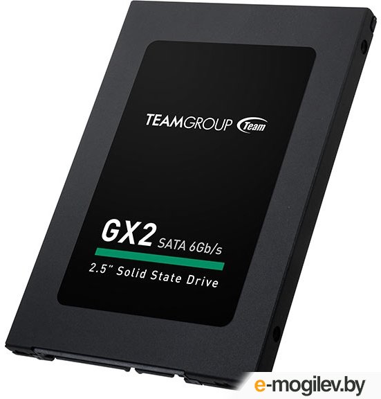 SSD ���� Team GX2 120GB (T253X2128G0C101)
