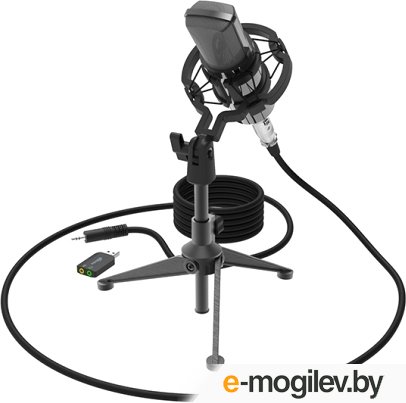 �������� Ritmix RDM-160 (������)