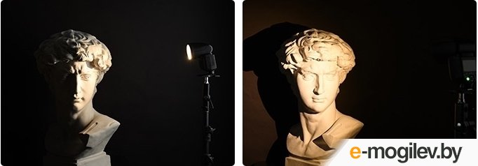 ������� Godox Ving V1S TTL / 27229