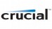 Crucial