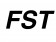    FST