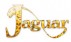 ,   JAGUAR